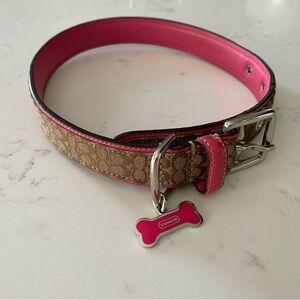 Large Coach Dog Collar